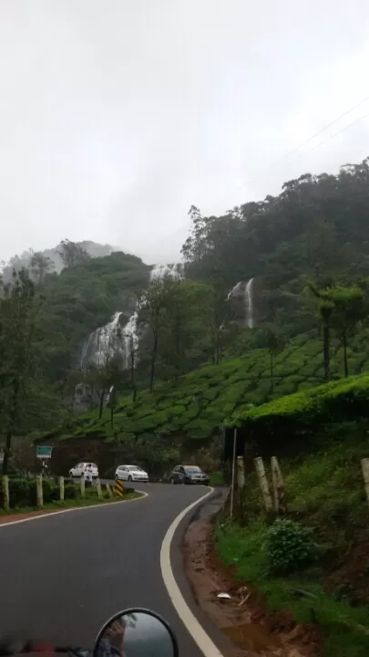 Photo of Munnar, Kerala, India by Yougal
