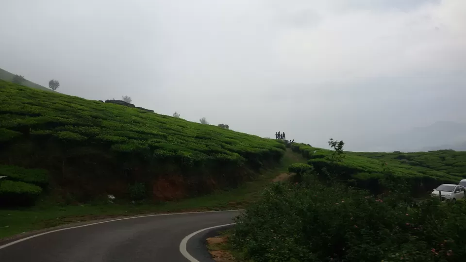 Photo of Munnar, Kerala, India by Yougal