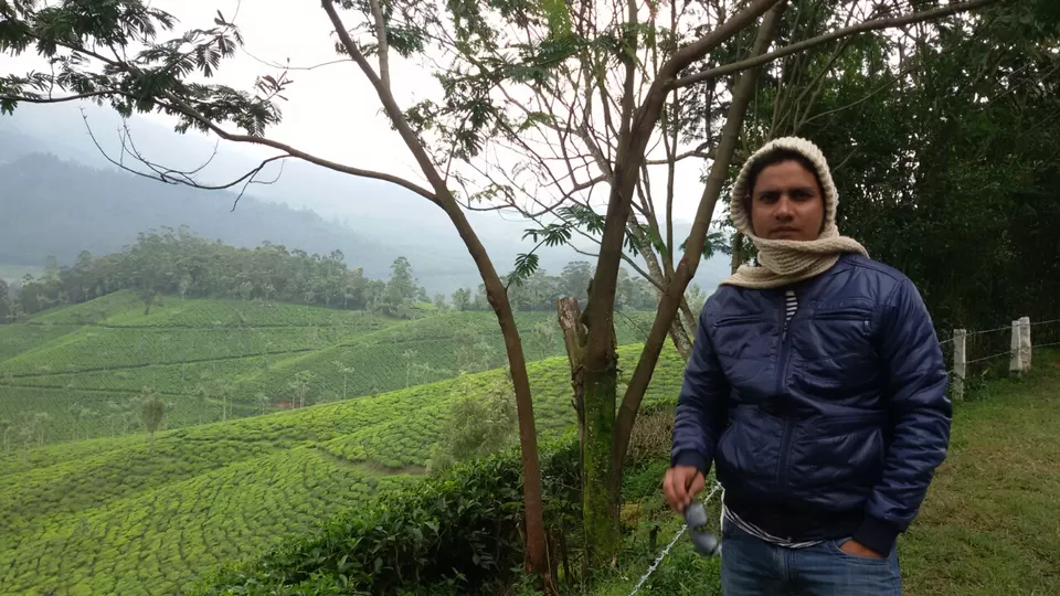 Photo of Munnar, Kerala, India by Yougal
