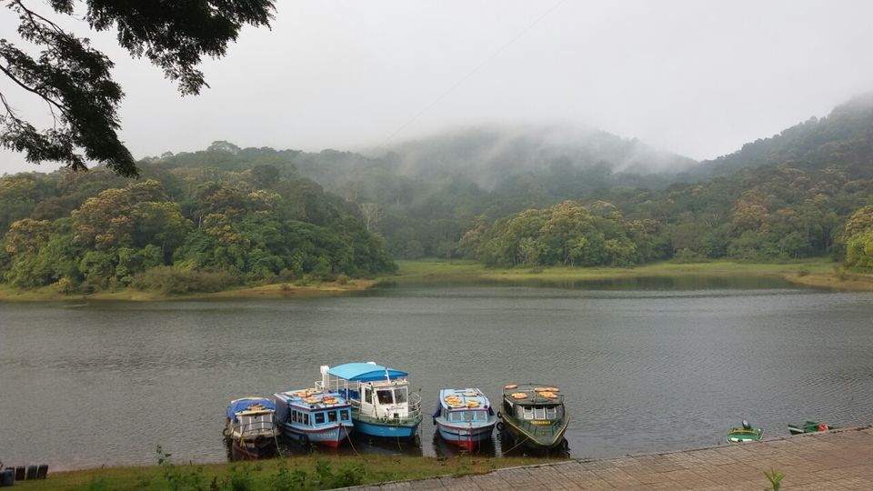 Photo of Thekkady, Kumily, Kerala, India by Yougal