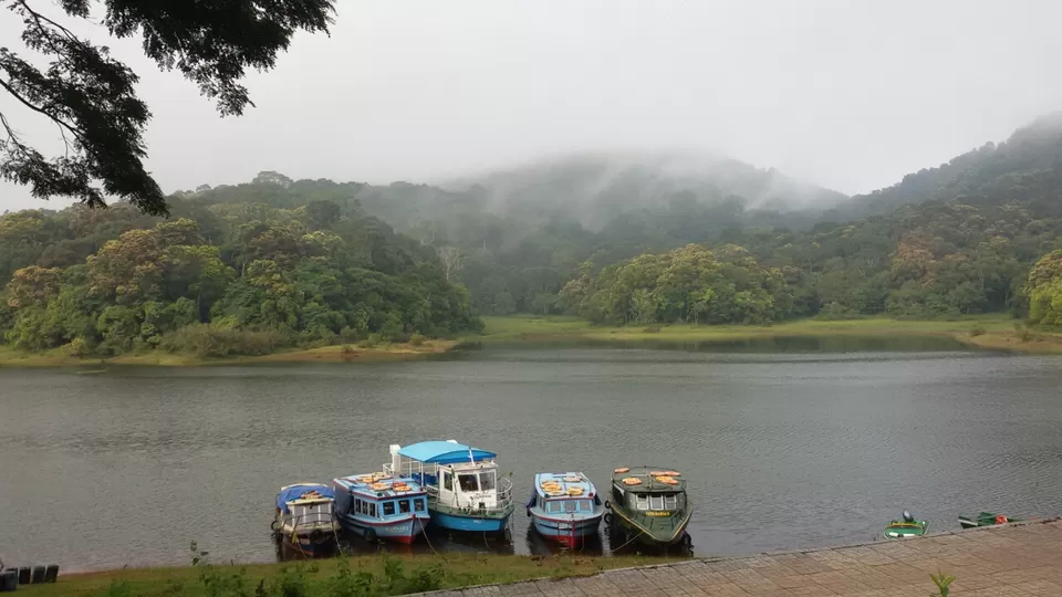 Photo of Thekkady, Kumily, Kerala, India by Yougal
