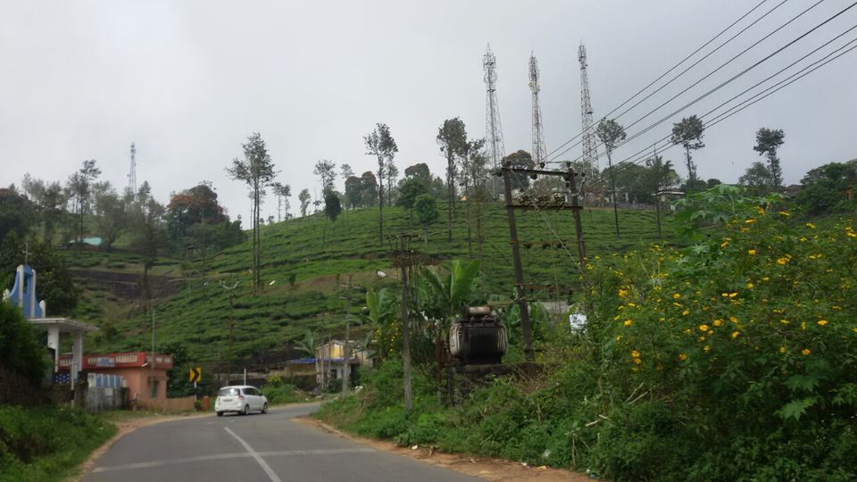 Photo of Thekkady, Kumily, Kerala, India by Yougal