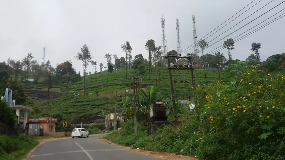 Photo of Thekkady, Kumily, Kerala, India by Yougal