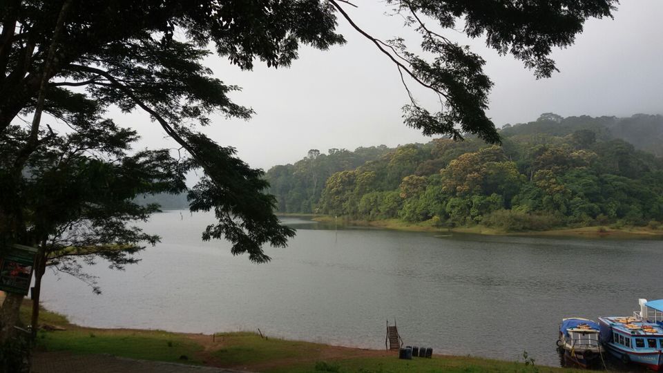 Photo of Thekkady, Kumily, Kerala, India by Yougal
