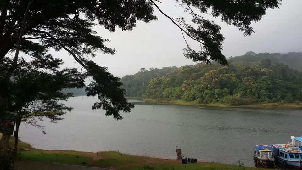 Photo of Thekkady, Kumily, Kerala, India by Yougal