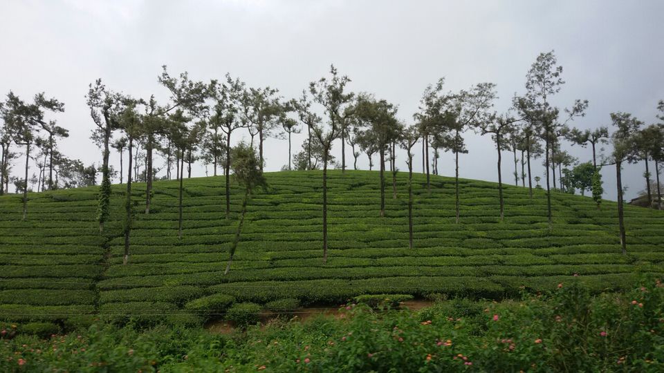 Photo of Lost in God's own country- a tale of 12 day bike tripping 7/20 by Yougal