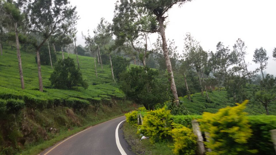 Photo of Lost in God's own country- a tale of 12 day bike tripping 11/20 by Yougal