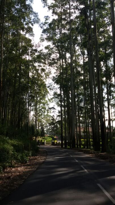 Photo of Lost in God's own country- a tale of 12 day bike tripping 13/20 by Yougal