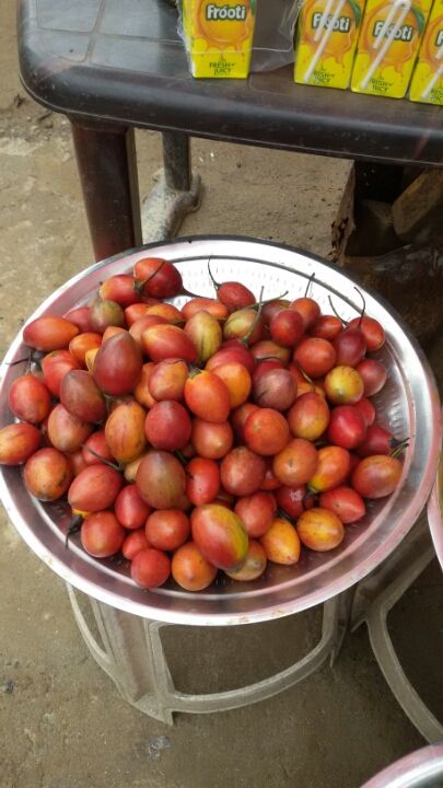 Photo of Lost in God's own country- a tale of 12 day bike tripping 18/20 by Yougal
