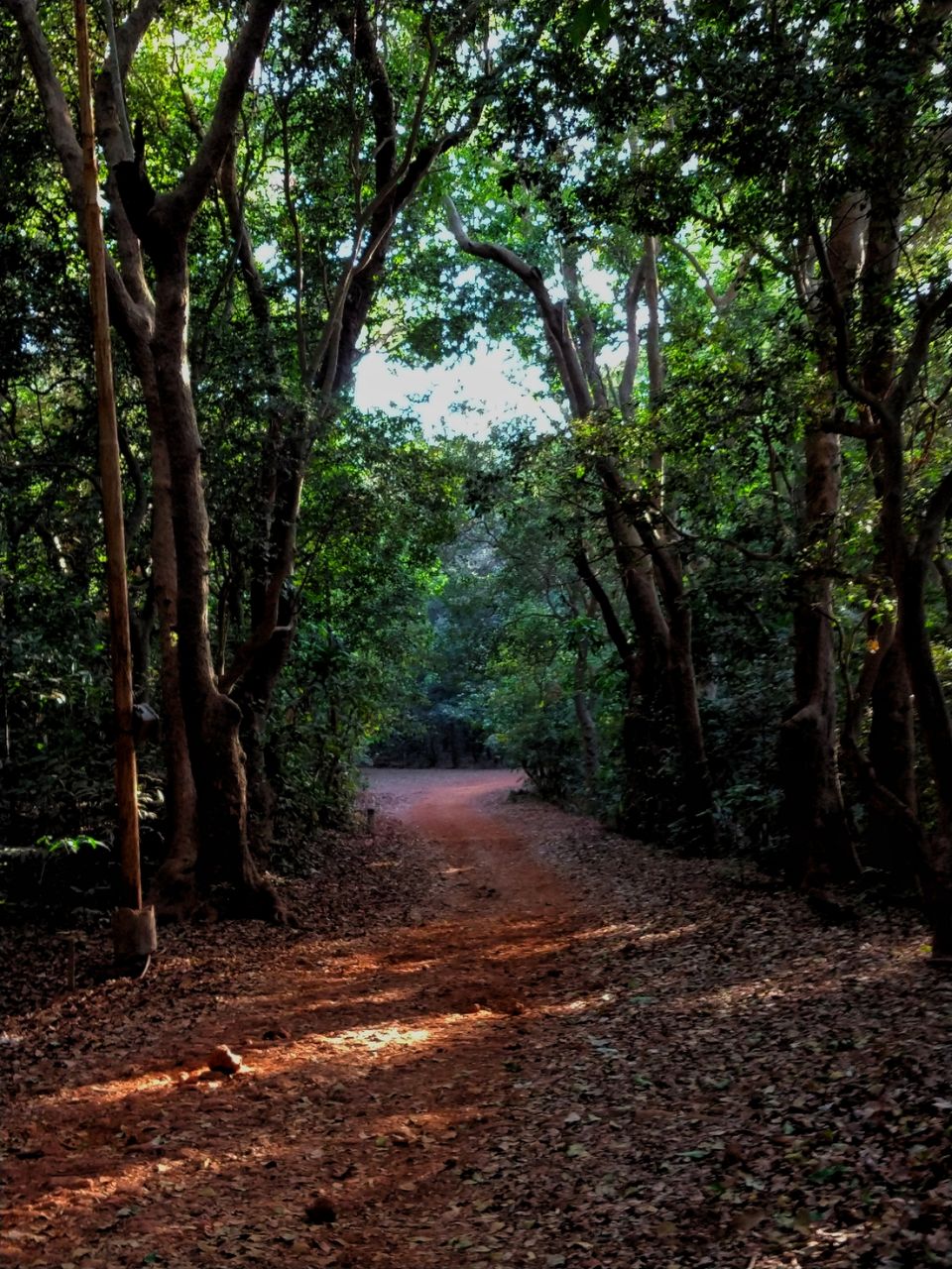 Photo of Matheran Family Trip by Sunil Shinde
