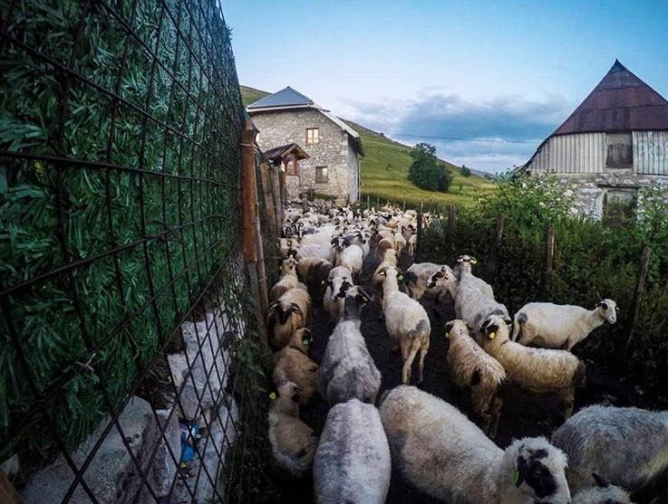 Photo of The Lure of Bosnia & Herzegovina 13/15 by Satarupa Mitra Datta