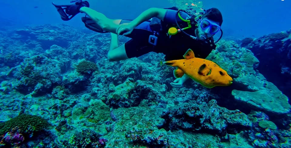 Photo of Lakshadweep: Explore This Coral Paradise of India. by Satarupa Mitra Datta