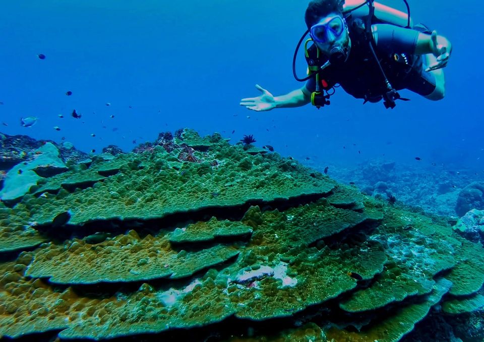 Photo of Bangaram Island Resort, Lakshadweep, India by Satarupa Mitra Datta
