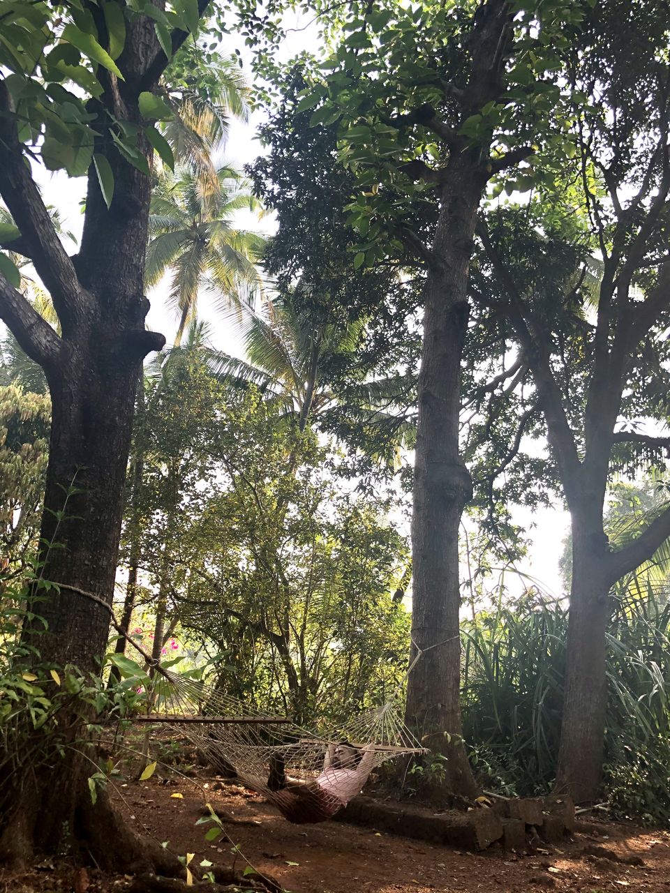 Photo of Just 7 Hours From Mumbai, This Farmstay Is The Perfect Weekend Getaway You've Been Waiting For! 1/3 by Satarupa Mitra Datta