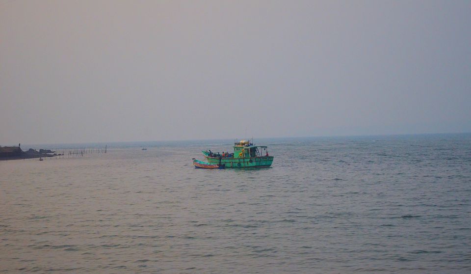 Photo of Mirya, Ratnagiri, Maharashtra, India by Satarupa Mitra Datta