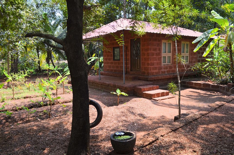 Photo of Just 7 Hours From Mumbai, This Farmstay Is The Perfect Weekend Getaway You've Been Waiting For! 3/3 by Satarupa Mitra Datta