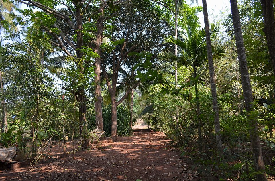 Photo of Just 7 Hours From Mumbai, This Farmstay Is The Perfect Weekend Getaway You've Been Waiting For! 2/3 by Satarupa Mitra Datta