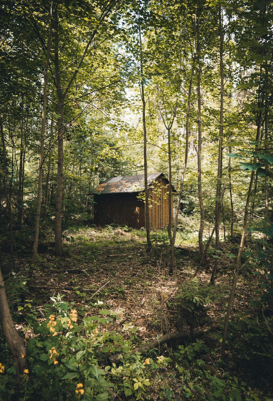 Photo of 10 Indian Properties That Deserve Their Own TV Show On Netflix! 5/15 by Satarupa Mitra Datta