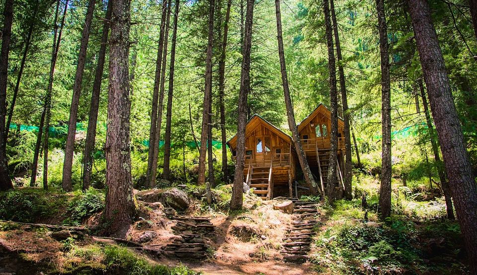 Photo of 10 Indian Properties That Deserve Their Own TV Show On Netflix! 11/15 by Satarupa Mitra Datta