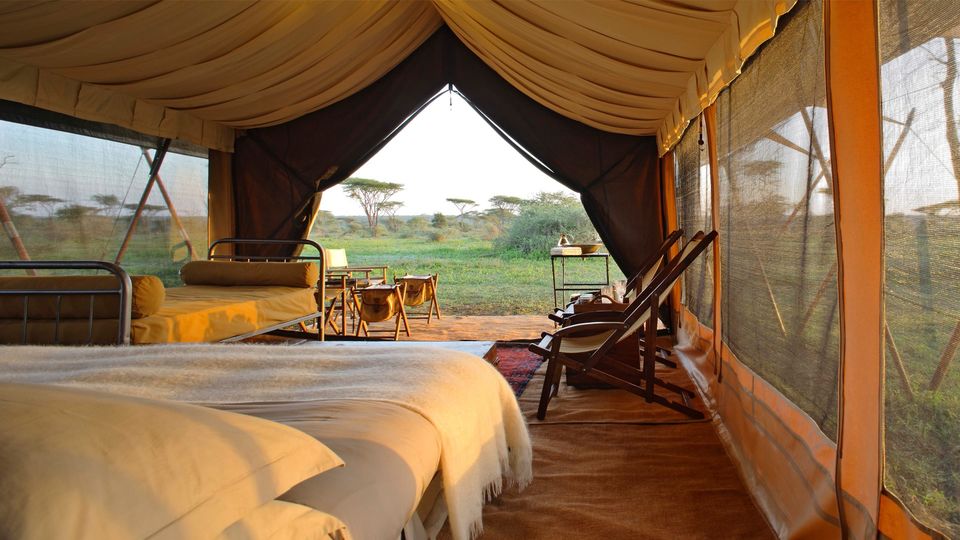 Photo of You Can Now Save 50% on Your Dream African Wildlife Safari Trip With This All-Inclusive Deal! 1/1 by Satarupa Mitra Datta