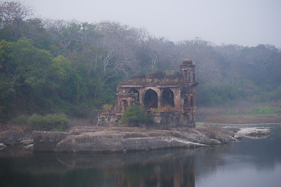 Photo of This Winter, Head to Ranthambore and Explore The Beauty Beyond Tiger Safaris by Satarupa Mitra Datta