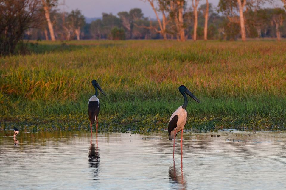 Photo of This Winter, Head to Ranthambore and Explore The Beauty Beyond Tiger Safaris by Satarupa Mitra Datta