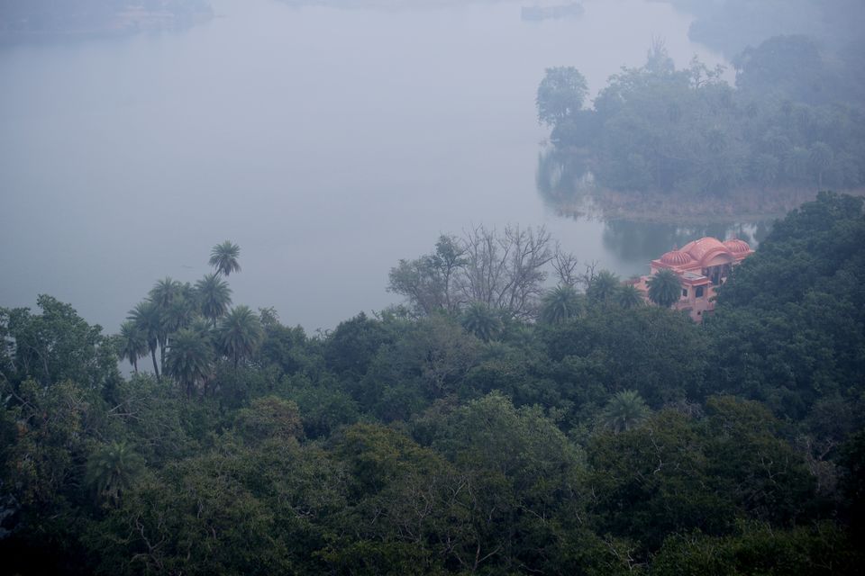 Photo of This Winter, Head to Ranthambore and Explore The Beauty Beyond Tiger Safaris by Satarupa Mitra Datta