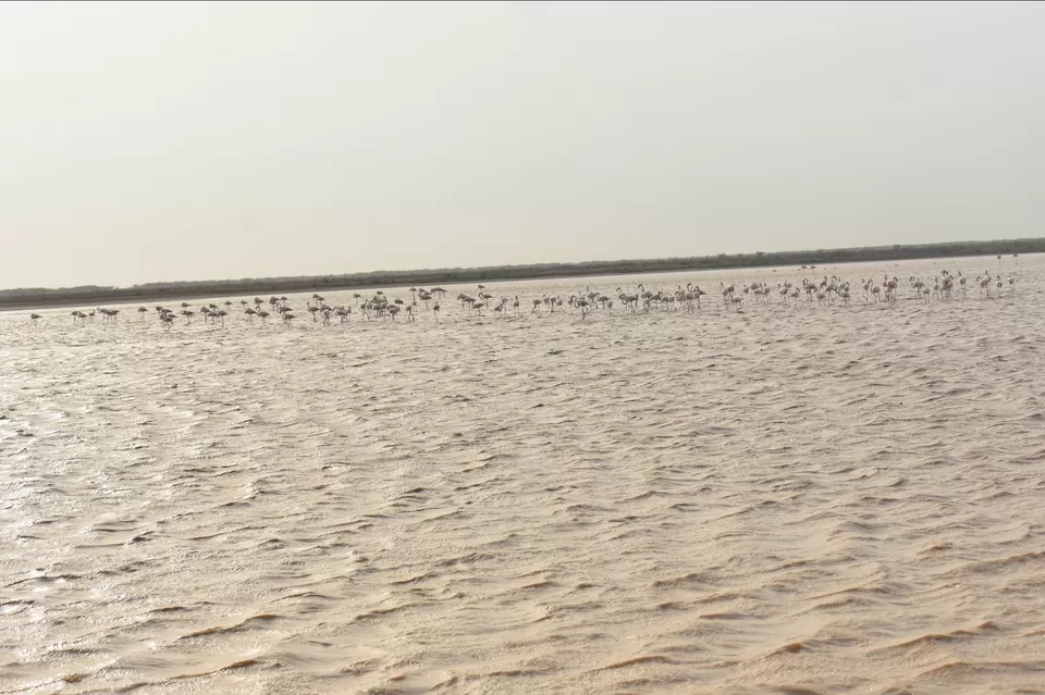 Photo of Nature grandeur gift of Gujarat.... by Nupur