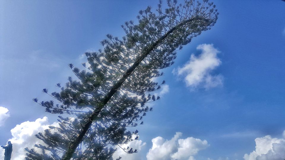 Photo of GOAAAAA! by Vaishnavi
