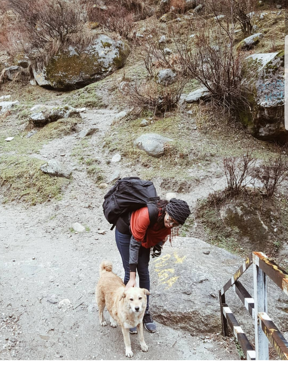 Photo of Trek or Treat-Himalayas by Vaishnavi