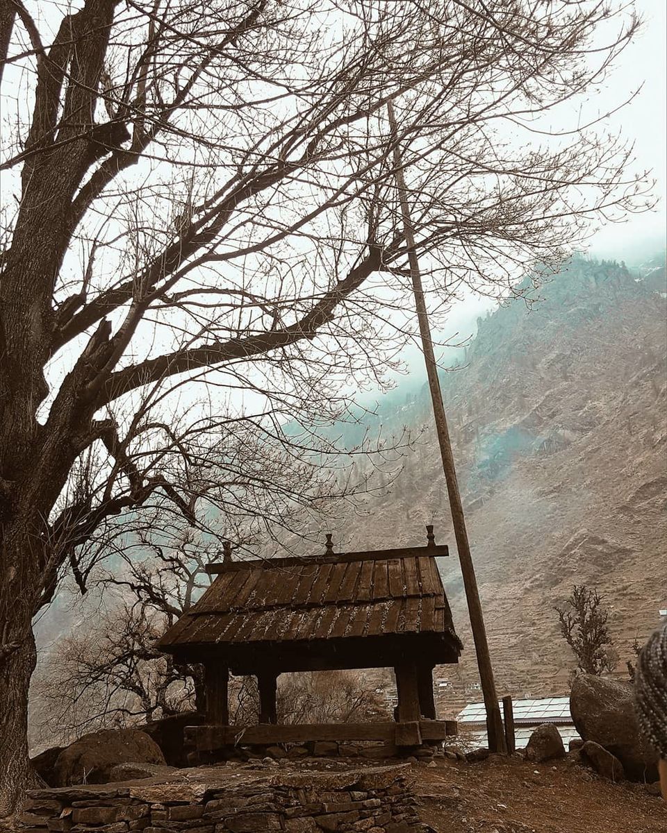 Photo of Trek or Treat-Himalayas by Vaishnavi