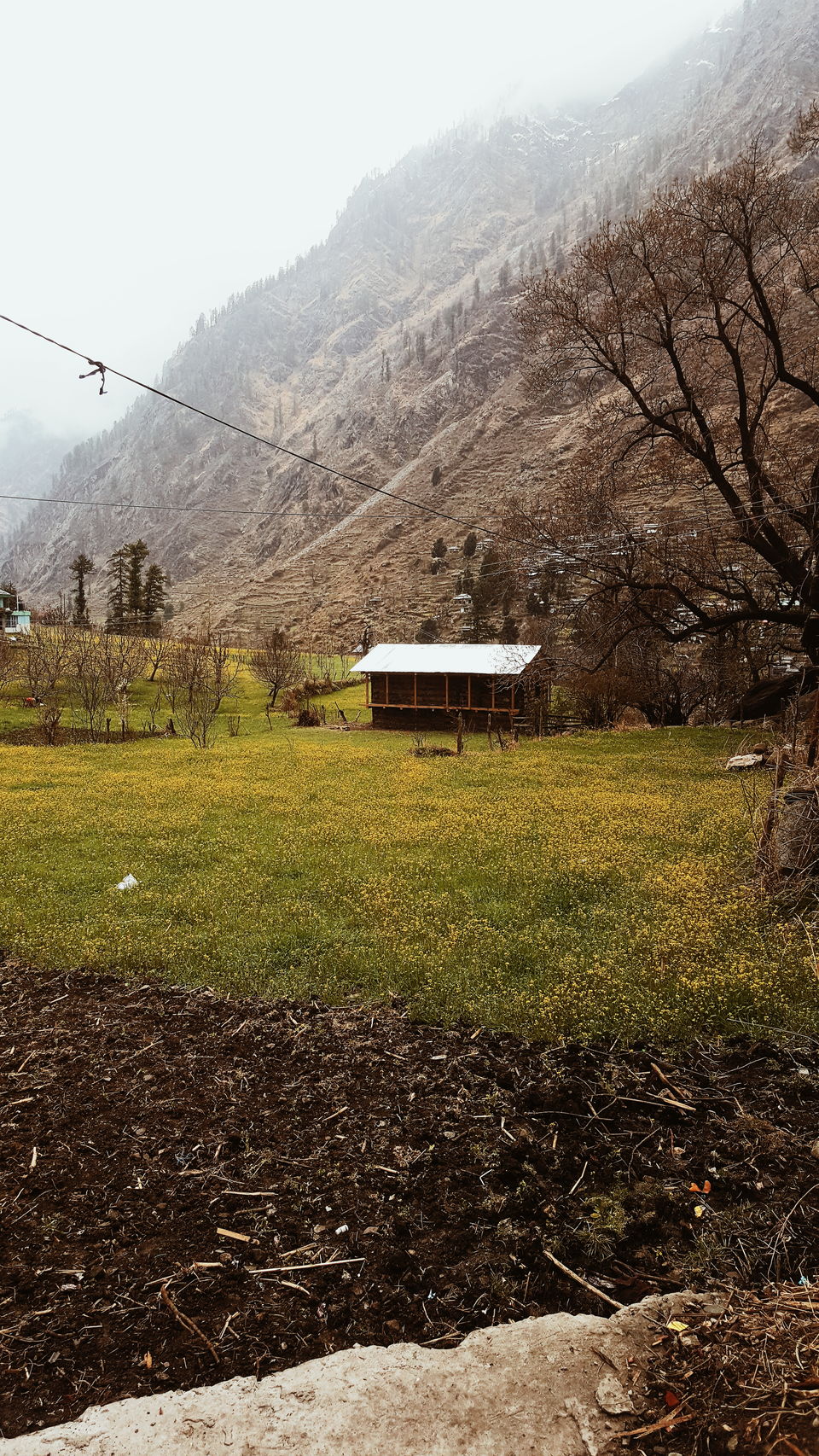Photo of Trek or Treat-Himalayas by Vaishnavi