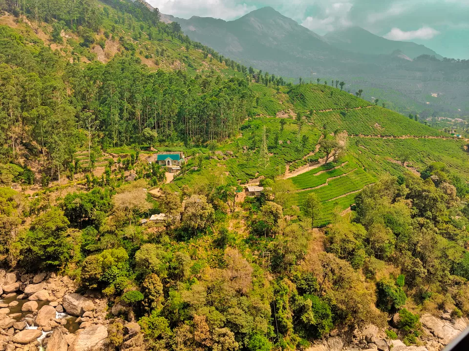Photo of Munnar, Kerala, India by Vaishnavi