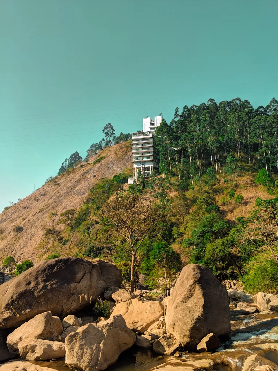 Photo of Munnar- Kashmir of South India by Vaishnavi
