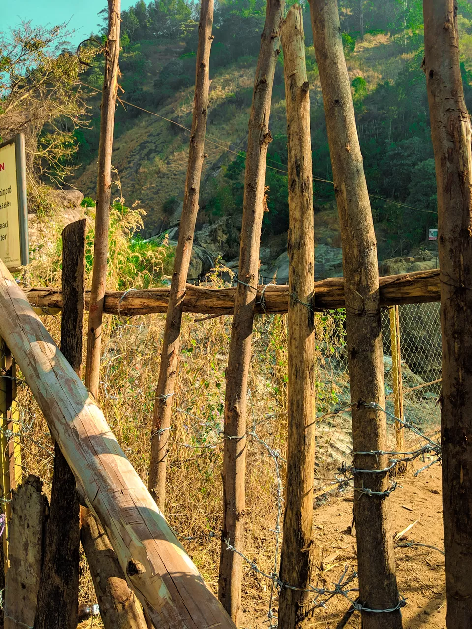 Photo of Munnar- Kashmir of South India by Vaishnavi