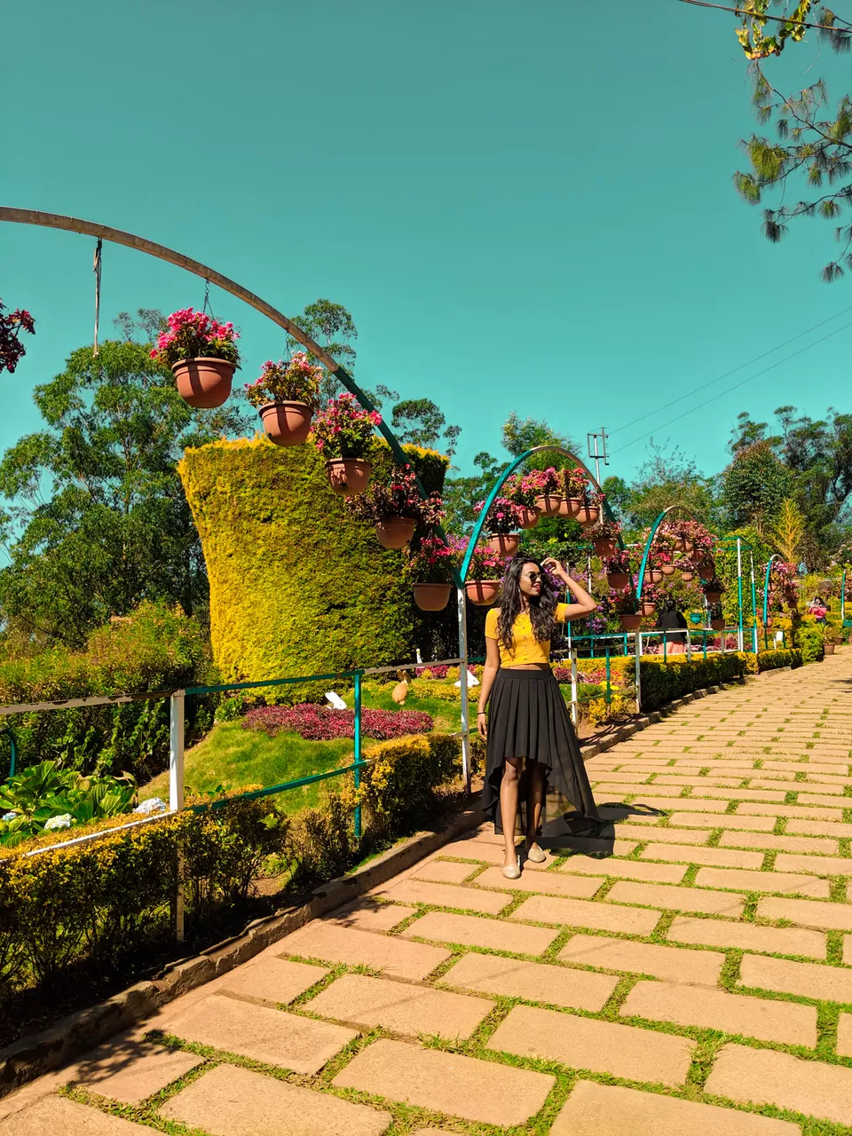 Photo of Munnar- Kashmir of South India by Vaishnavi