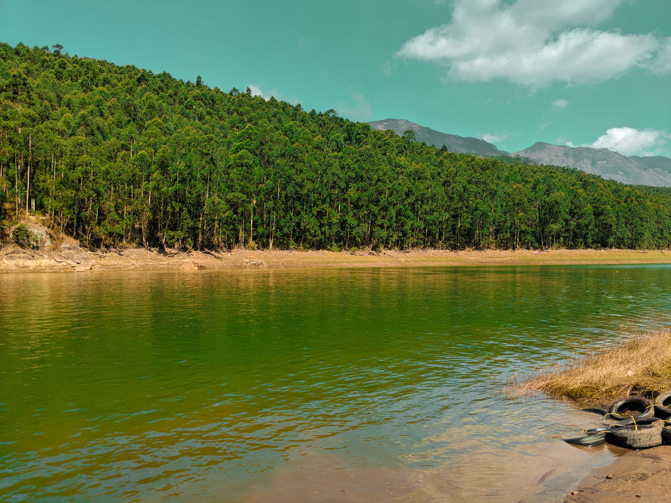 Photo of Munnar- Kashmir of South India by Vaishnavi