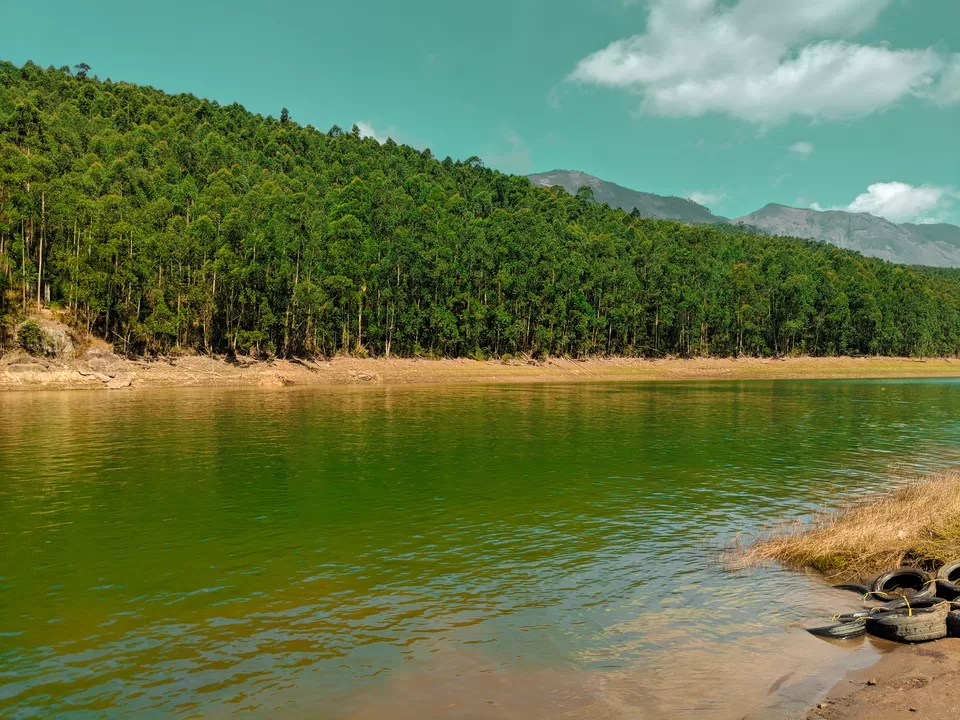 Photo of Munnar- Kashmir of South India by Vaishnavi