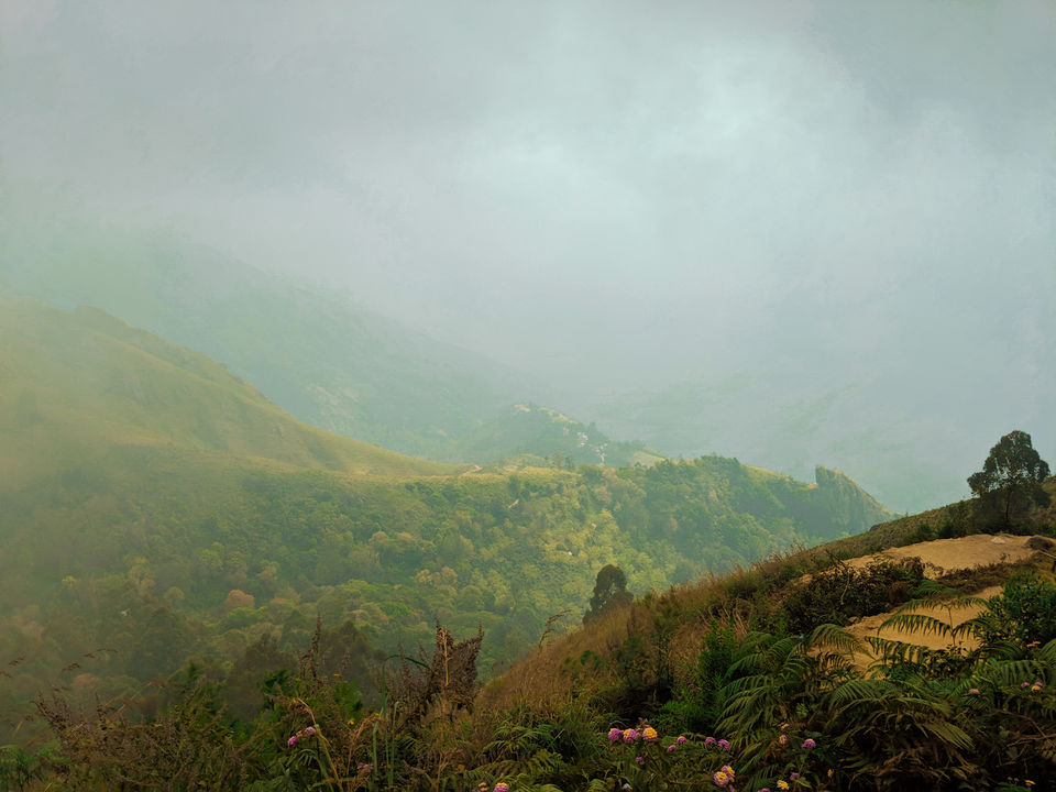 Photo of Munnar- Kashmir of South India by Vaishnavi