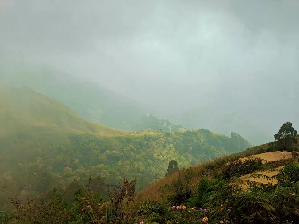 Photo of Munnar- Kashmir of South India by Vaishnavi