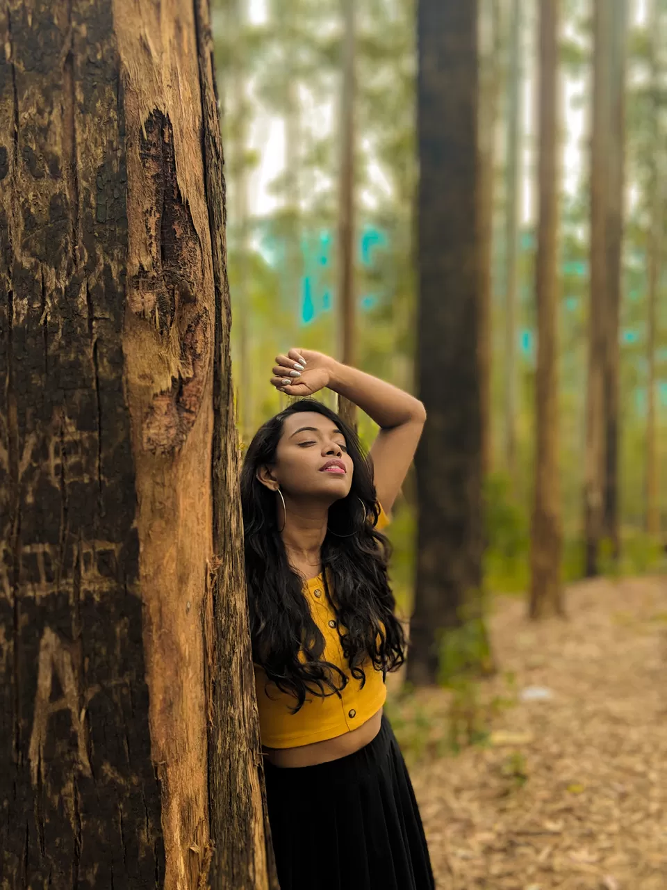 Photo of Munnar- Kashmir of South India by Vaishnavi