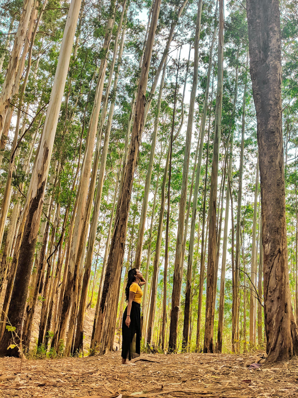 Photo of Munnar- Kashmir of South India by Vaishnavi