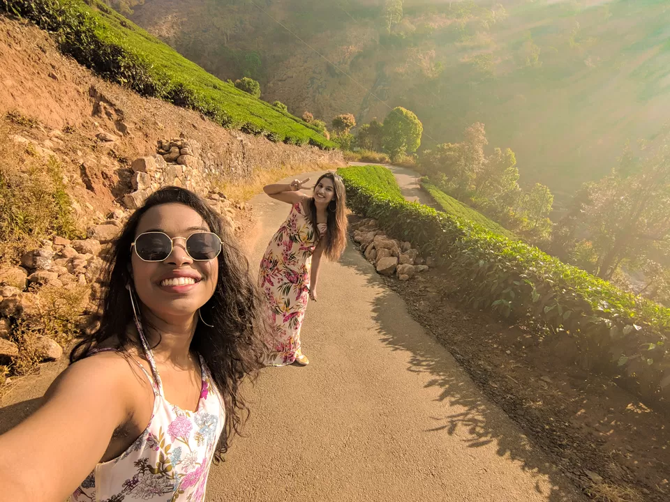 Photo of Munnar- Kashmir of South India by Vaishnavi