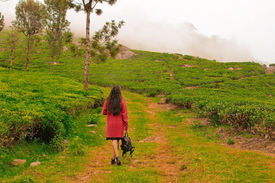 Photo of OO-TEA, OOTY!!!!!! by Vaishnavi