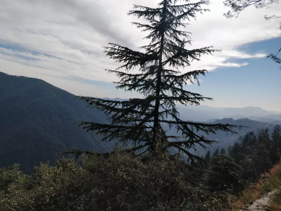 Photo of Kufri - Chail Road, Kufri, Himachal Pradesh, India by LifeofaTravelGirl