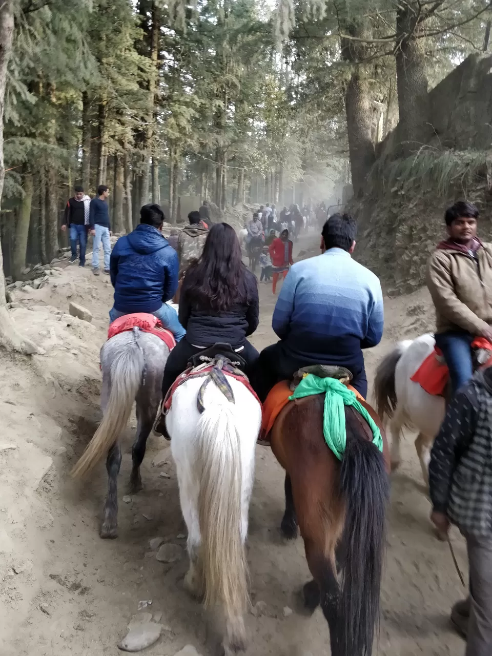 Photo of Horse Riding Point, Kufri, Himachal Pradesh, India by LifeofaTravelGirl