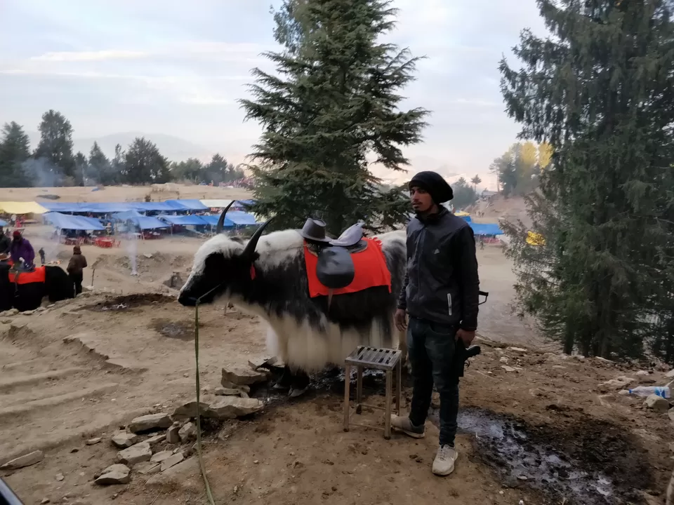 Photo of Adventure Park New Kufri, National Highway 5, Galu, Fagu, Himachal Pradesh, India by LifeofaTravelGirl