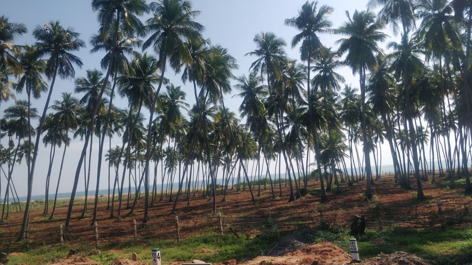 Photo of East Coast Road, Jhansi Nagar, Vasan Nagar, Karamanikuppam, Pondicherry, Puducherry, India by LifeofaTravelGirl