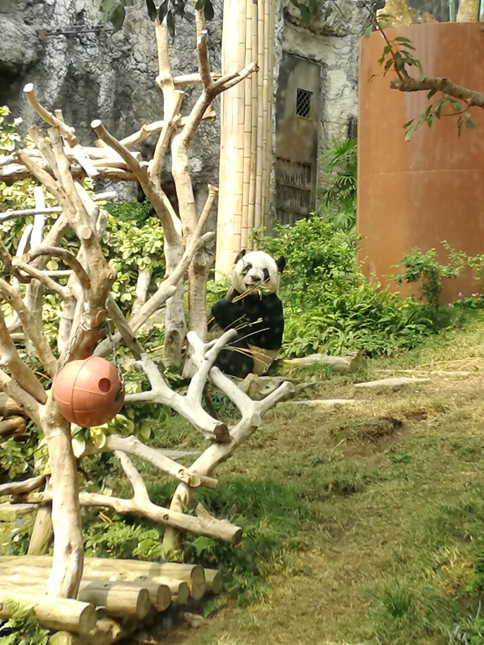 Photo of #20ThingsILoveAboutMacao by Twain Travellers