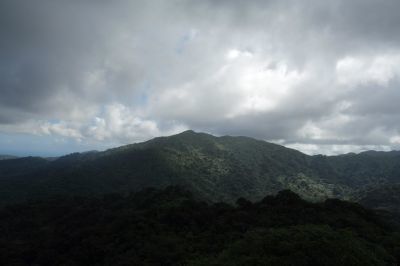 Photo of El Yunque National Forest, Puerto Rico by Aswin Ramakrishnan